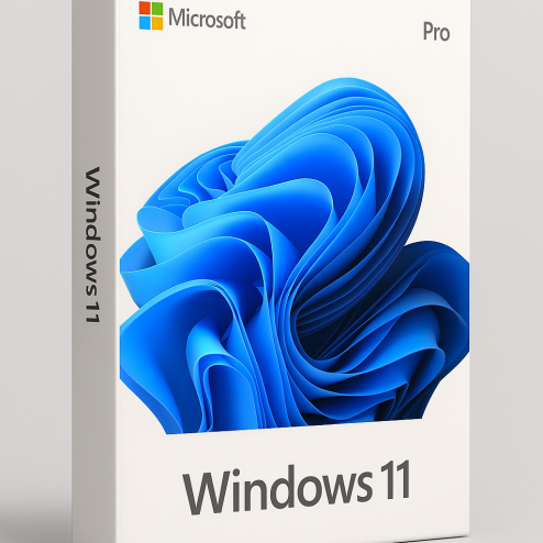 Windows 11 Pro