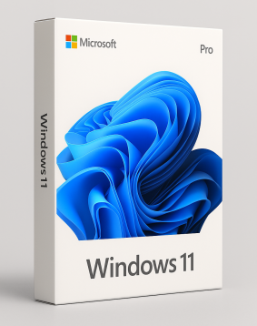 Windows 11 Pro